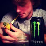 Profile Picture of Daniel Wacker (@shibbylove) on Instagram