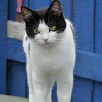 Profile Picture of Joanne Haley (@joanne-haley) on Quora