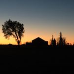 summer__calvert - Instagram Profile Picture of summer__calvert (@summer__calvert) on Instagram