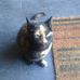Profile Picture of Paula Platts (@paula.platts.5) on Facebook