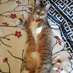 Profile Picture of Shelly Stevens (@shelly.stevens.756) on Instagram