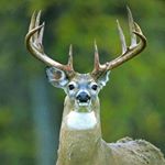 Profile Picture of Tommy Gambrell Jr. (@jr04gambrell) on Instagram