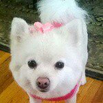 Profile Picture of Alexa pulido (@minecraft_alexa_2005) on Instagram