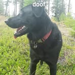 Profile Picture of Nathan Gergen (@Nathan-Gergen) on Facebook