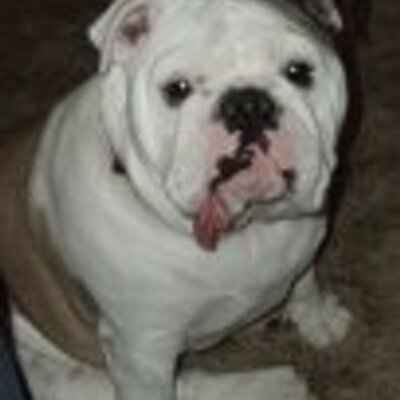 Profile Picture of Mike Brymer (@apache559) on Twitter