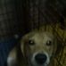 Profile Picture of Ralph Javier (@ralph.javier2) on Facebook