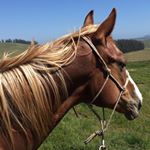 Profile Picture of Jesus Romo (@_jesusromo) on Instagram