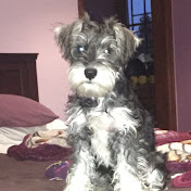 Julia Valenzuela - Youtube Profile Picture of Julia Valenzuela (@juliavalenzuela4066) on Youtube