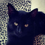 Profile Picture of Paula Blanco (@pauchimo1985) on Flickr