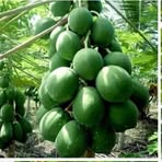 Profile Picture of Bahrii Fatas (@bahrii.fatas.1) on Facebook