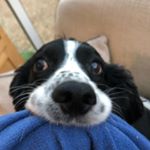 Profile Picture of Alison Richards (@alibug27) on Instagram