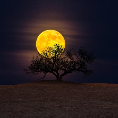 Profile Picture of Tomas Suarez (@tomassuarez2018) on Twitter