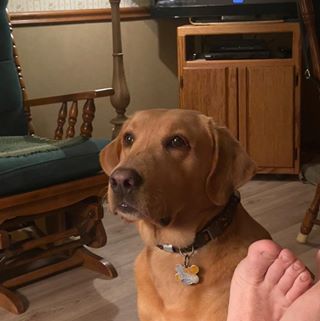 Profile Picture of Christopher Mire (@cmire2) on Facebook