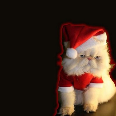 Profile Picture of Joshua Phillippe (@joshua_philippe) on Twitter