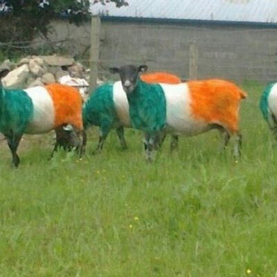 Profile Picture of Andy Galligan (@andygally) on Twitter