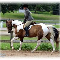 Profile Picture of Erica Dayton (@ericadayton2) on Pinterest
