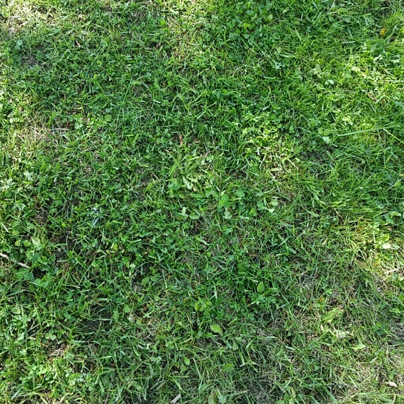 Profile Picture of Anthony Wright (@antwri1) on Poshmark