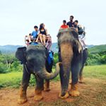 Profile Picture of Kate Mohr (@5mohr) on Instagram