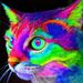 Profile Picture of Bonita Peters (@bonitapeters) on Pinterest