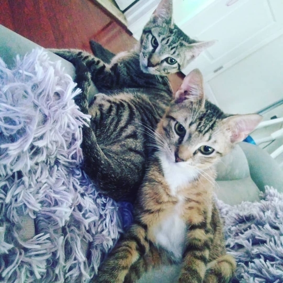 Profile Picture of Candy Wintersteen (@chancesinlife17) on Poshmark