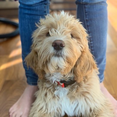 Matthew Weinberger - Twitter Profile Picture of Matthew Weinberger (@Hargate1) on Twitter