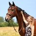 Profile Picture of Hannah Ehlers (@hannah.ehlers.733) on Facebook