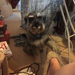 Profile Picture of Lisa Newnham (@newnham49) on Instagram