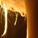 Profile Picture of Jessica Roizner (@jessicaroizner) on Pinterest