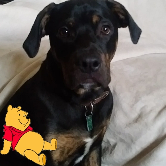 Profile Picture of Kelly Friedline (@kellyfriedline) on Poshmark