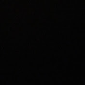 Profile Picture of Lisa Shim (@lisashim766) on Youtube