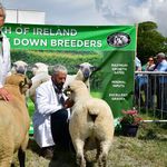 david behan - Instagram Profile Picture of david behan (@behan636) on Instagram