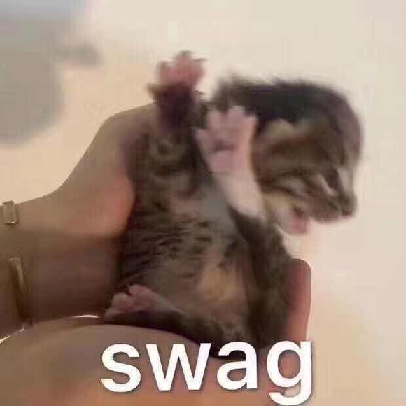 Profile Picture of Siyu Chen (@chen27) on Poshmark