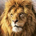 Profile Picture of King J (@lion__paul) on Instagram