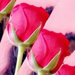 Profile Picture of Surekha Singh (@surekha.singh.3152) on Instagram