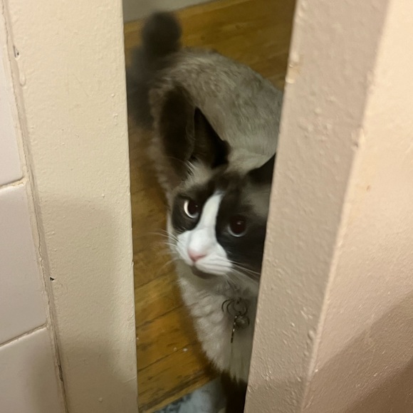 Hillary Ramirez perez - Poshmark Profile Picture of Hillary Ramirez perez (@hillaryramir767) on Poshmark