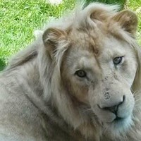 Profile Picture of David Durie (@david-durie-1) on Quora