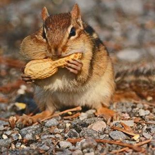 Profile Picture of Bradley Lammert (@bradley.lammert) on Facebook