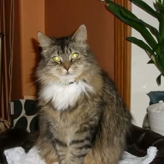 Profile Picture of Debbie Dolan (@debbie.dolan) on Instagram