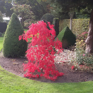 Profile Picture of Chris Horstman661 (@@chrishorstman62) on Tiktok