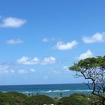 Profile Picture of Anne Ramer (@anne.ramer) on Instagram