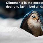 Profile Picture of Nicholas Spann (@spanndaddy22) on Instagram