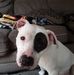 Profile Picture of Keith Dicke (@keith.dicke.5) on Facebook