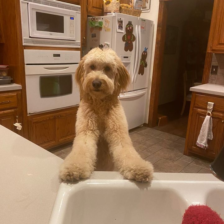 Profile Picture of Jt.OKC (@jeffrey.m.okc) on Tiktok