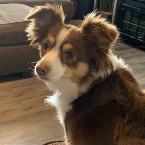 Profile Picture of Elizabeth Goepfert (@eliz4204) on Poshmark