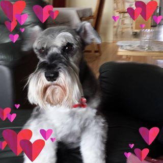 Profile Picture of Larry Bojarski (@larry.bojarski.18) on Facebook