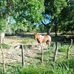 Profile Picture of Merced González (@merced.gonzalez.5876) on Facebook