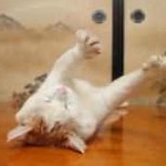 Profile Picture of Xenia Clarinda (@vasquezgillyvasq) on Instagram