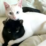 Profile Picture of Kevin Sly (@Kevin-Sly) on Facebook