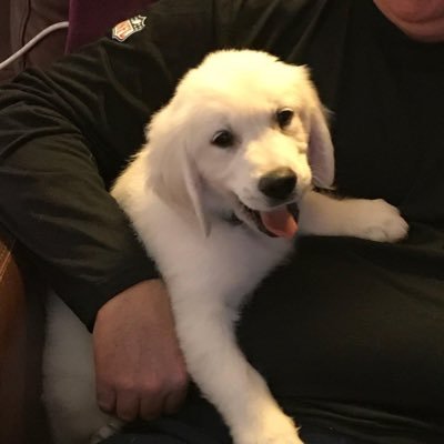 Profile Picture of William M Toler (@WilliamMToler1) on Twitter