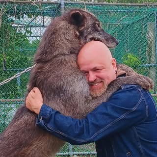 Profile Picture of Michael McCready (@michael.mccready) on Instagram